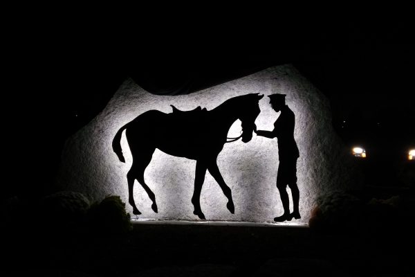 custom metal sign of soldier and horse