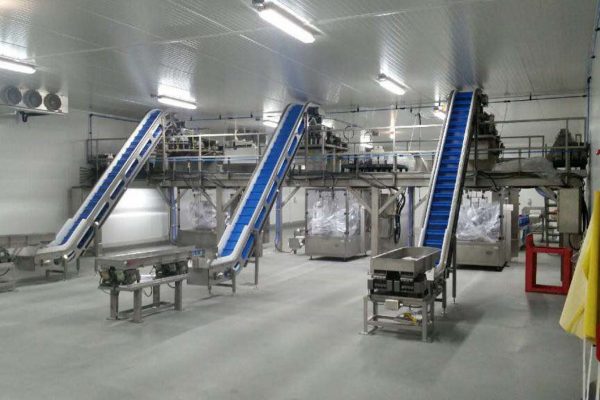 incline conveyors for food handling